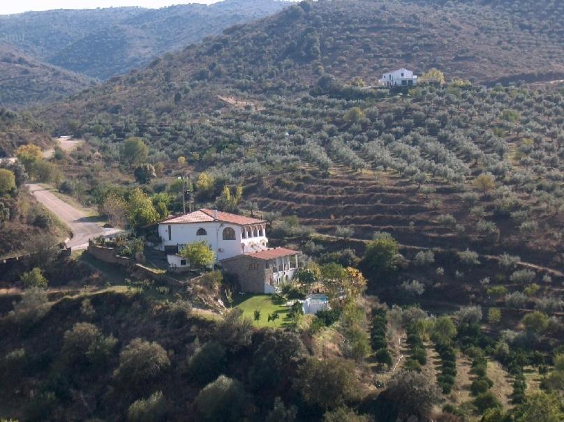 Posada Real Quinta De La Concepcion Hinojosa de Duero Buitenkant foto